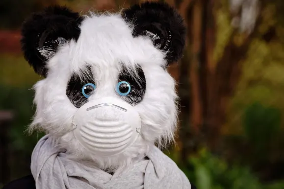 HeySpin Casino Support